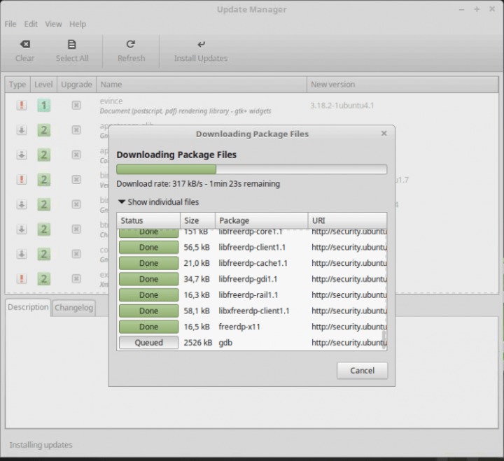 proses update linux mint