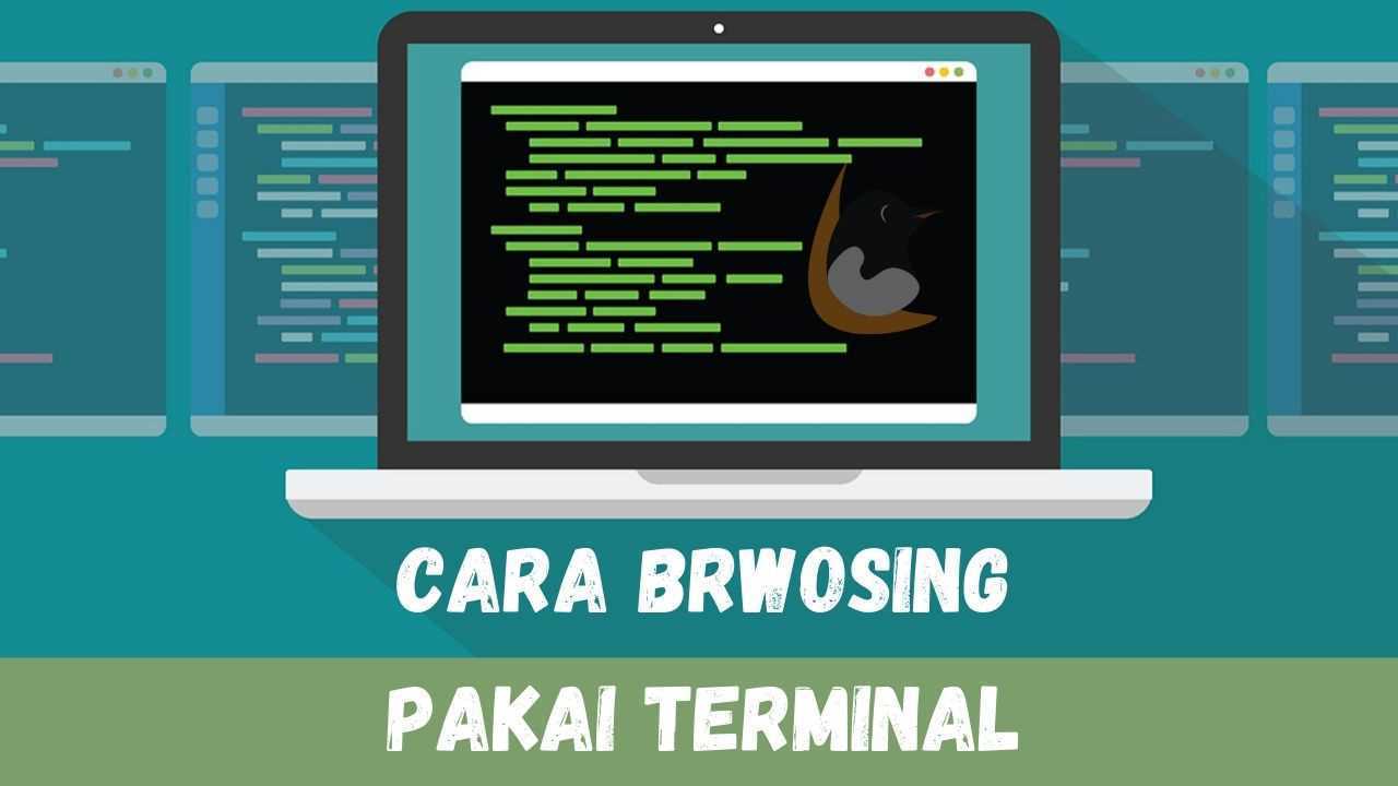 cara browsing di terminal linux dan termux